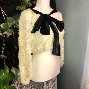 NWT ZARA Lace long sleeve crop blouse